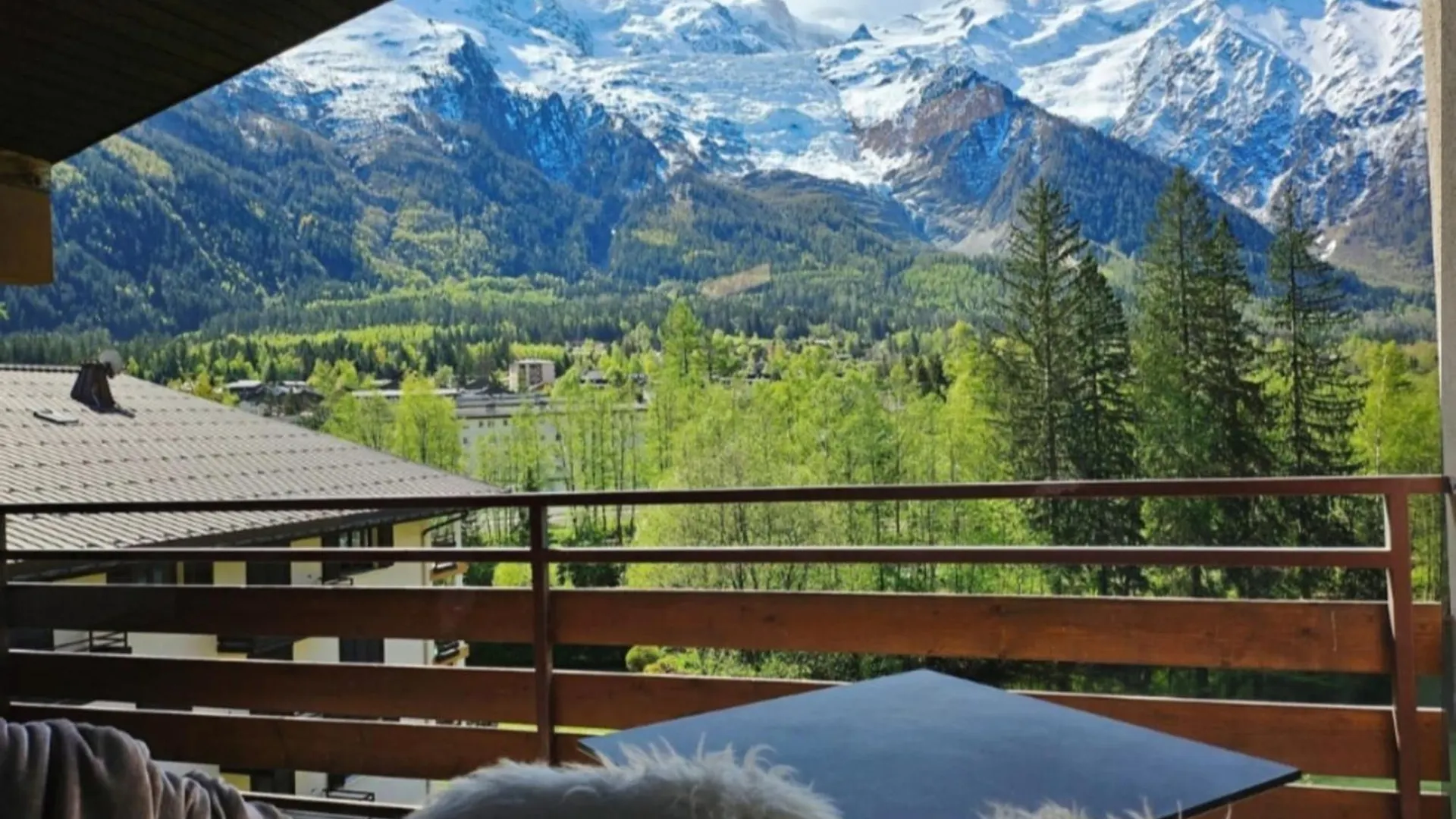 Charming T3 With Terrace In Chamonix Apartment